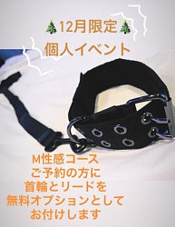 個人イベント首輪とリードオプションが付いてきます (本来はわんちゃん用)